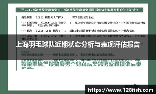 上海羽毛球队近期状态分析与表现评估报告