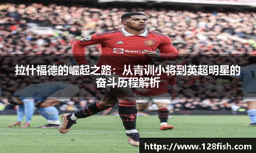 w66利来国际官方网站